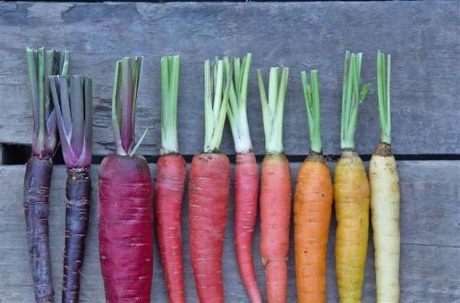 carrots-rainbow