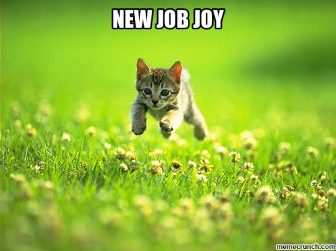 new job joy cat