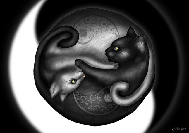yin_and_yang_cats_by_khaliaart-d9vnti5
